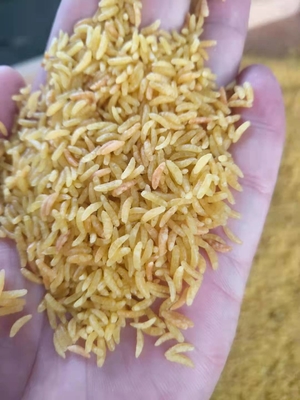 201304 SS الأرز الاصطناعي صنع مصنع ماكينات الأرز المقوى 150 كجم / ساعة