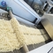 ماكينة صنع نودل الأرز الأوتوماتيكية الفورية 100-500 كجم / ساعة